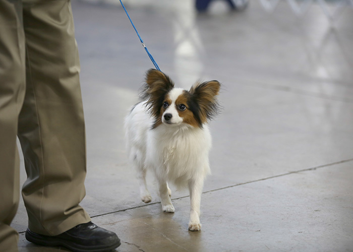 %_tempFileNameA6744%