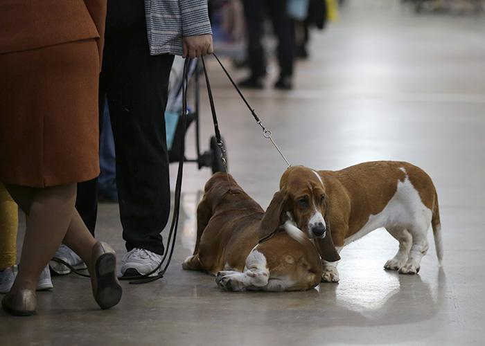 %_tempFileNameA6755%