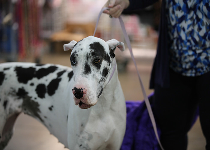 %_tempFileNameA6759%