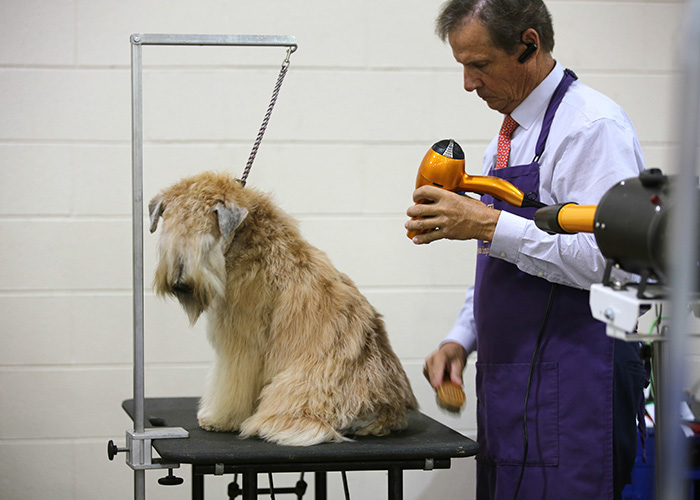 %_tempFileNameA6771%