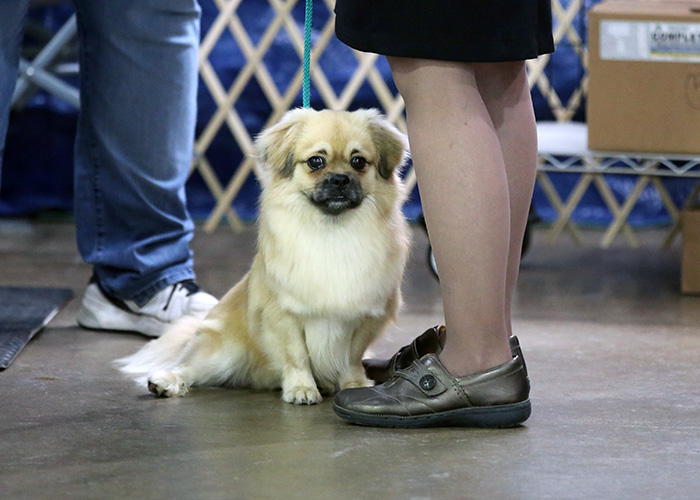 %_tempFileNameA6826%