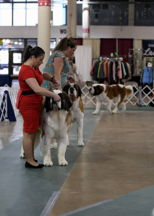 %_tempFileNameA6852%