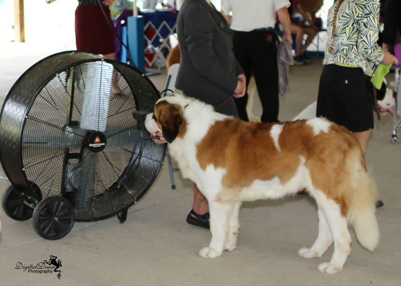 %_tempFileNameA0336%