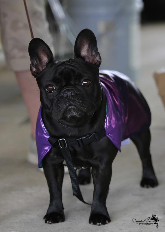 %_tempFileNameA6641%