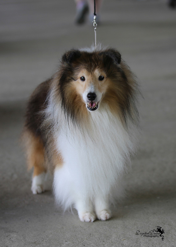 %_tempFileNameA6659%