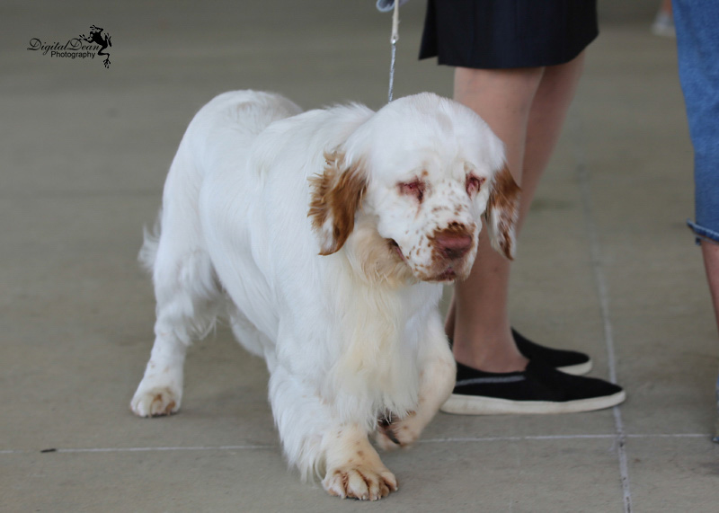 %_tempFileNameA6676%