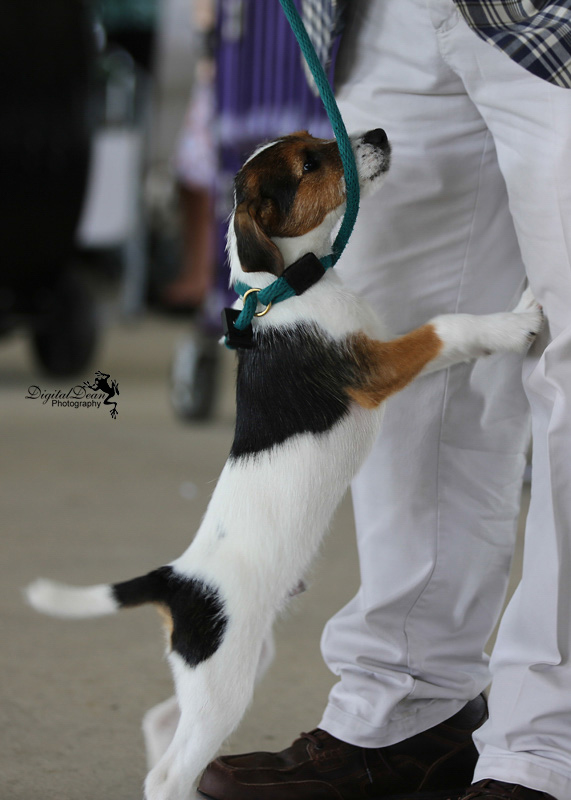 %_tempFileNameA6682%