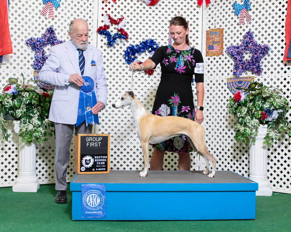 %_tempFileNameWO7223B-0227%